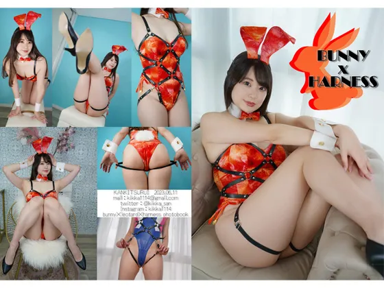 【柊きっか】【バニーガール コスROM】bunnyxharness