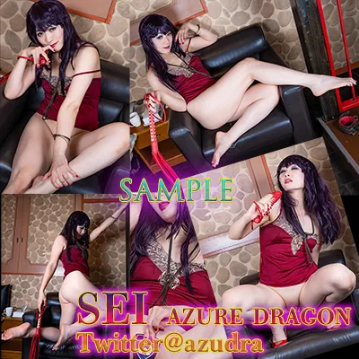 【SEI】女刑事 岩上志麻 真夏の夜の極秘潜入捜査 Level2