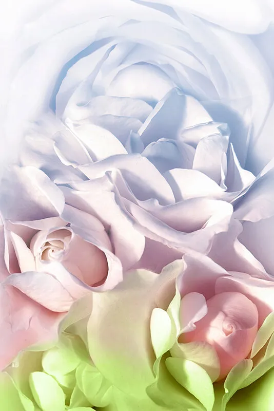 【JK】胡桃さくら 最高級 美少女ソープ