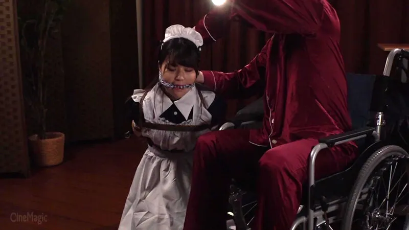 【藤波さとり】哀虐のトリスターナ 家庭内メイドマゾ牝覚醒 さのさとり