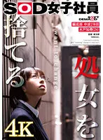 処女を捨てる SOD女子社員 編成部 中途2年目 木戸知尋（24）