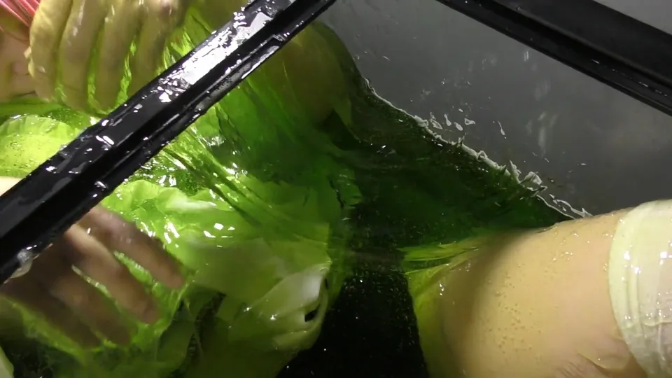 【リゼロ ラム スライム漬けウェット＆メッシーコスROM】えすえふ.シチュエーション２