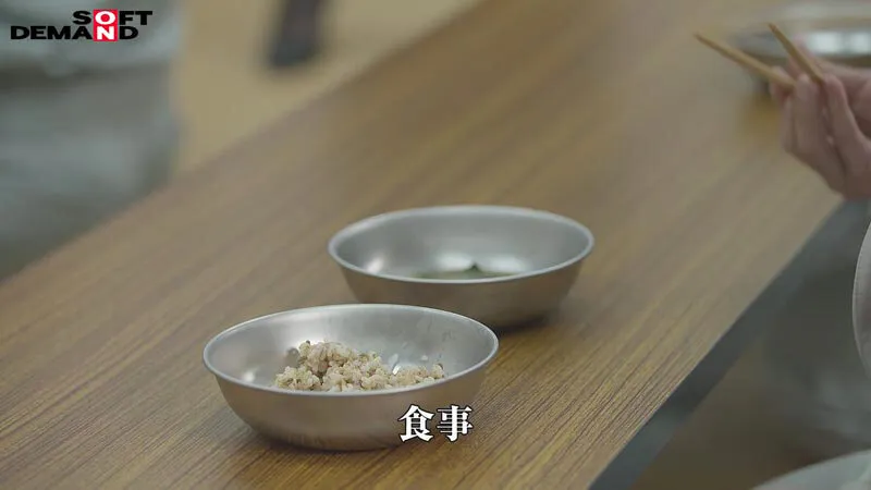 【七碧のあ 橘京花 秋元さちか】少年看守レディのお仕事 中出し射精管理更生施設