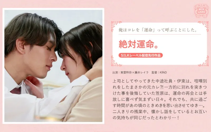 【東雲怜弥×藤井レイラ】絶対運命。