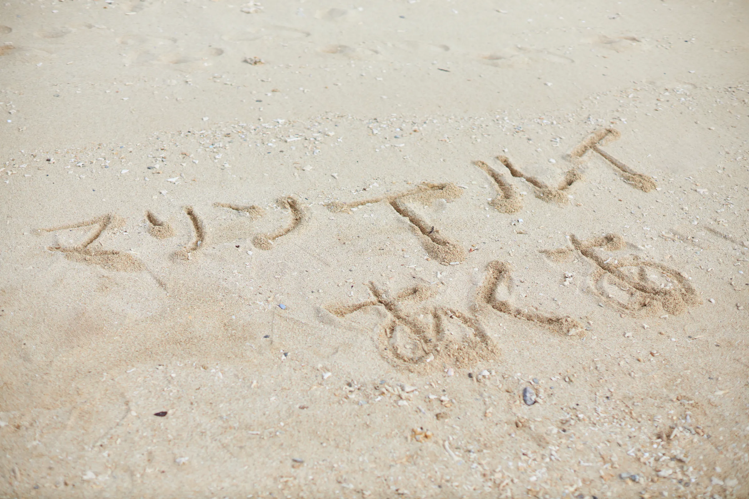 【藤乃ゆりあ】【ホロライブ宝鐘マリン】マリンと♥パイレーツ