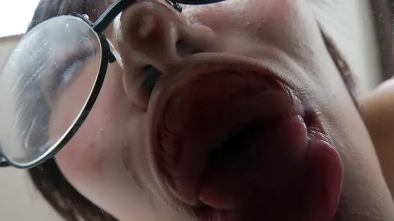 【まんげつくも】まんげつおちゃずけくも/猫雲