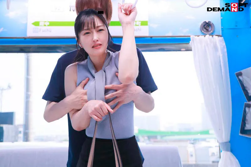 【レイプ】マジックミラー号 失禁電車がイク イヤイヤと拒んでも心とは裏腹にご無沙汰なカラダはエロテクに敏感反応！ヌルヌルにトロけたマ○コに生挿入！ノースリーブは隙だらけ！変質者に狙われやすい30代以上限定！