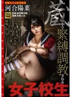 【JK人身売買レイプ】蔵の中で緊縛調教される女子校生 酒浸り親父の借金のカタに売られた田舎娘。ムチ尻に喰い込む縄と蝋燭に悶え哭く 河合陽菜
