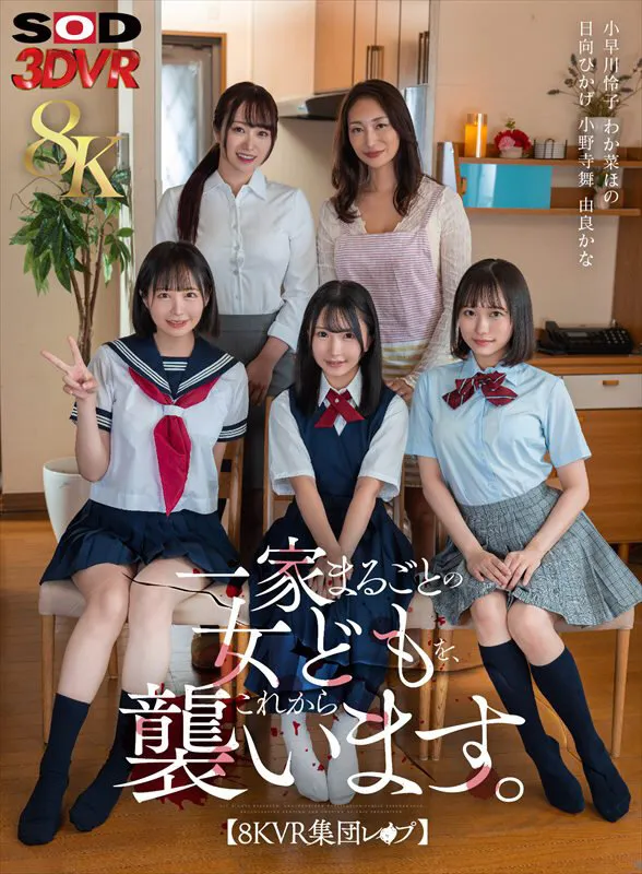 【小野寺舞 由良かな わか菜ほの 他】【VR】【8K】【VR集団レ×プ】一家まるごとの女どもを、これから襲います。