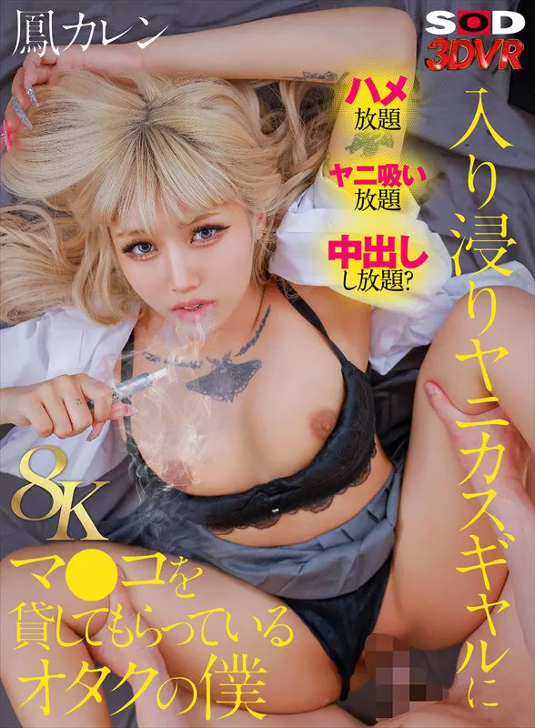 【VR】【8K】入り浸りヤニカスギャルにマンコを貸してもらっているオタクの僕 鳳カレン