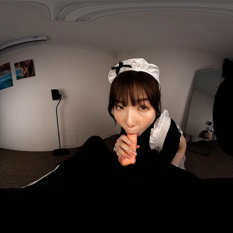 【VR】ハンラシンTHE BEST VR 極舐め！超接写絶頂フェラチオVR！