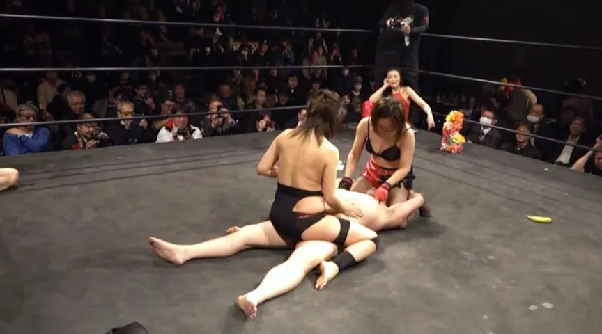 キャットファイト万博－2025 はちゃめちゃお下品カーニバル 2025年2月28日（金）at／東京・新木場1stリング収録