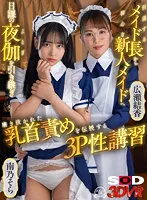 【広瀬結香＆南乃そら】【VR】引退するメイド長から初心な新人メイドへ 日課の夜伽を引き継ぎ 磨き抜かれた乳首責めを伝授する3P性講習