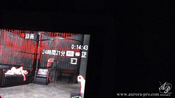 令嬢調教 懐妊までの地獄の30日間 もなみ鈴