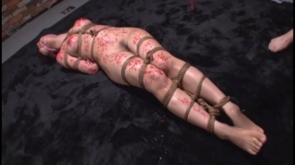 家畜娼婦に転落した女 秘密Clubマトロナ 志木あかね