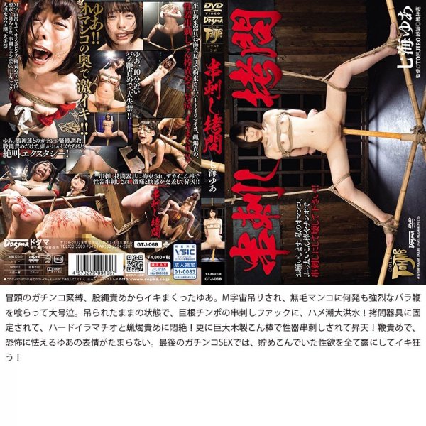 【神納花 他】【福袋】究極拷問福袋ベスト