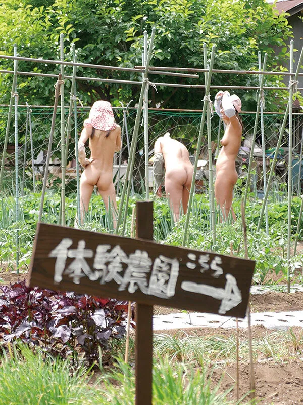 【武藤あやか 倉田宏美 大原千穂 寺島志保 細谷さゆみ 中野ひな】スッポンポンで農作業をするおばちゃんが居るという噂の農家に行ってきた！そこは青姦やり放題の楽園だった！