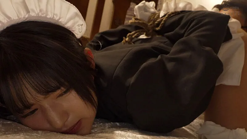 メイド教育。-没落貴族 瑠璃川椿- 渚みつき【きょくちょ局】