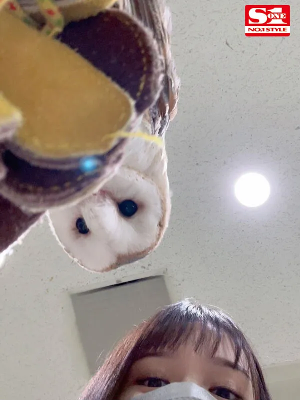 【ほしののの】小倉七海 初ベスト S1デビュー1周年 最新12タイトル12時間スペシャル