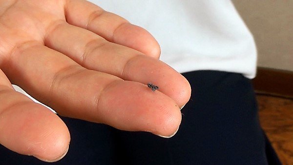 【足のにおい】 コールセンター・足王道