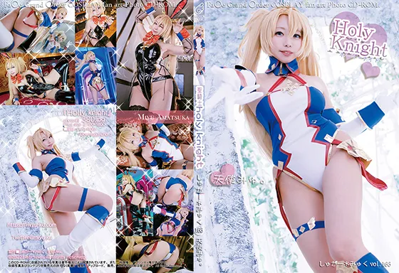 【天使みゅ。】【FGO ブラダマンテ】Holy Knight