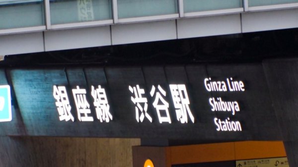 【山口葉瑠】マジ軟派、初撮。 1660 クビレも美脚もガン見されながら路上飲みしていたであろうスレンダー美女JDと路上でベロチュー！ホテルに連れ込んだ頃にはすっかり仲良しでヤル気マンマン！長い脚が映える立ちバックは必見！！