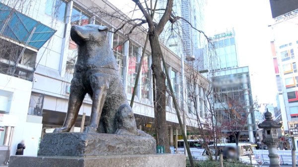 【宝川莉子】マジ軟派、初撮。 1774 配信者のフリして街行く学生に出演交渉！言葉巧みにHな動画の撮影へと誘導し…？ハリのある美巨乳(Fカップ)が素晴らしすぎる！ジュボジュボ音を立てるドスケベフェラでいきり勃ったチ●ポにヒンヒン言わされ快楽の渦へ！