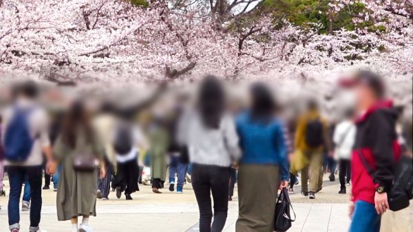 【松本流佳】マジ軟派、初撮。 1794 ひとりお花見中のJDをナンパ！透き通るような白い太もも！脱がせば推定Gカップのおっぱい！涙目イラマで歓喜！舌を出してアヘアヘ喘ぐ淫乱っぷり！