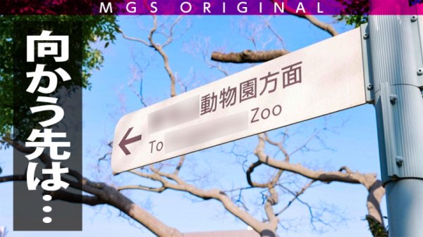 綾●はるか似の清楚系美少女vsガチ恋童貞！女優に丸投げリアルドキュメント・ガチンコSEX！【今回のデートコース：みなとみらい→動物園→ラブホ】エロくて儚くて甘酸っぱい！シリーズ史上一番胸キュンおセンチな名作回！志田雪奈の素のSEXが見れるのはこれだけ！