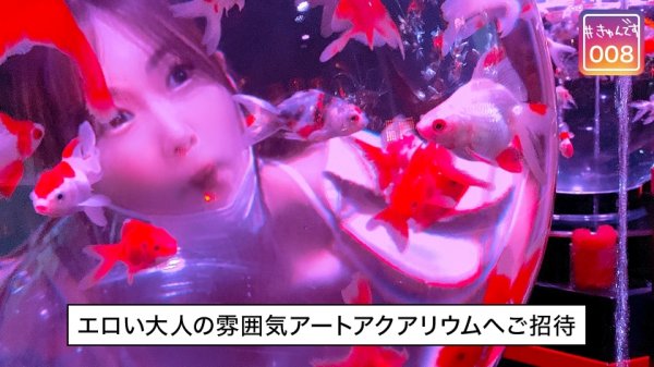 【花宮あむ】【配信専用】#きゅんです 008/あみ/22歳/OL